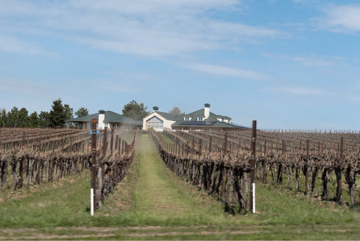 Vineyards